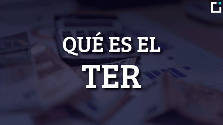 Qué es el TER de un fondo y por qué afecta tanto a la rentabilidad